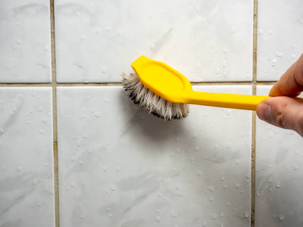 Best Mold Remediation  in Marathon, FL