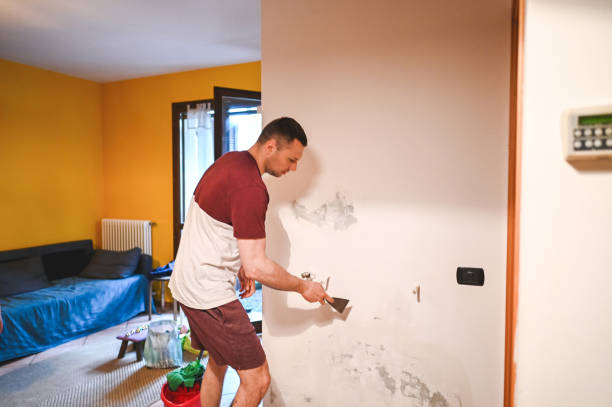 Mold Removal and Inspection in Marathon, FL